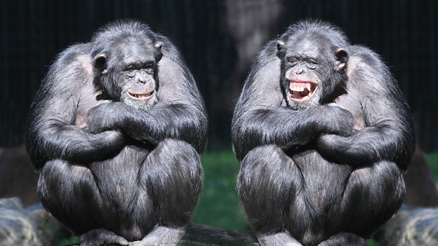 Why do we laugh? 為什么我們會(huì)笑？