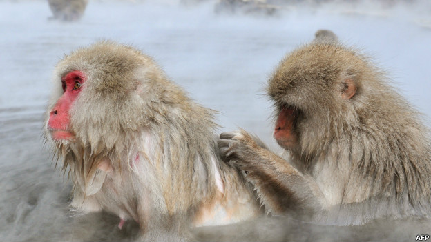 You scratch my back 你幫我，我助你