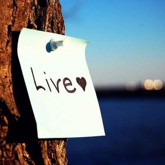 Purpose in life 如何找到人生目標(biāo)？