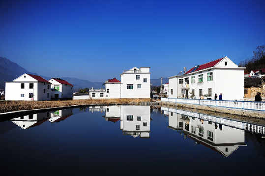 人間四月天 岳西花正紅