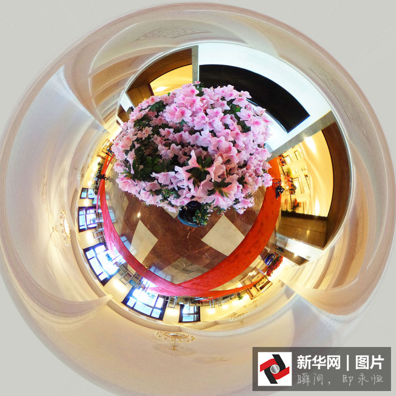360度全景看大會(huì)堂里春花開(kāi)