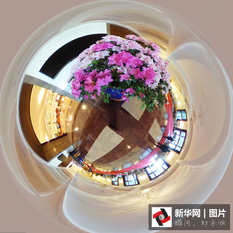 360度全景看大會(huì)堂里春花開(kāi)