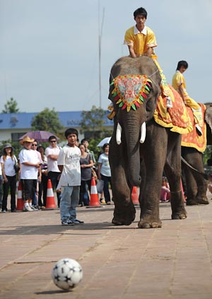 Animal sports meeting