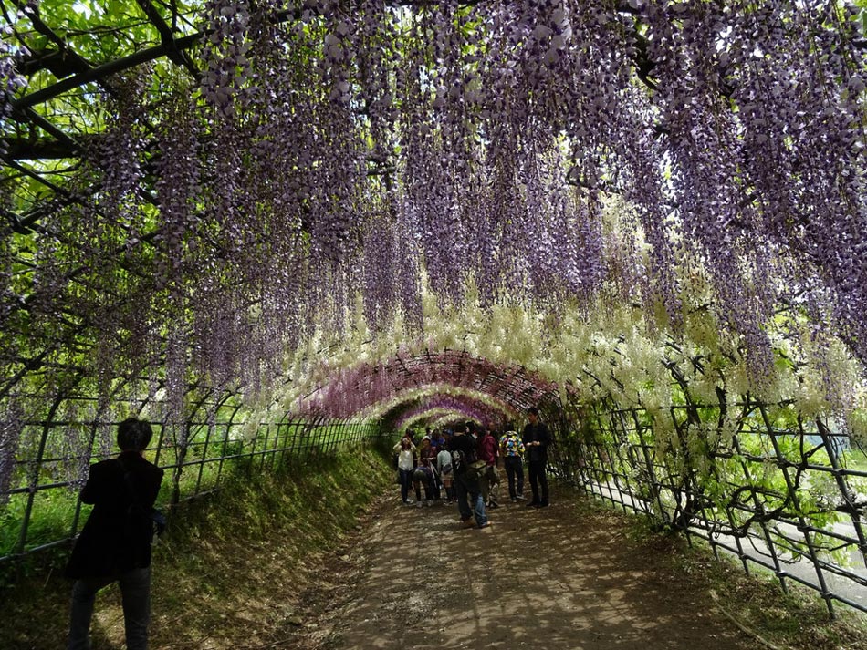 繽紛、靈動(dòng)、斑斕：世界上最美的18座花園