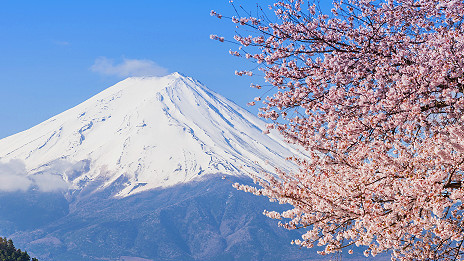 Free internet for Mount Fuji climbers 日本富士山向游客提供免費無線網