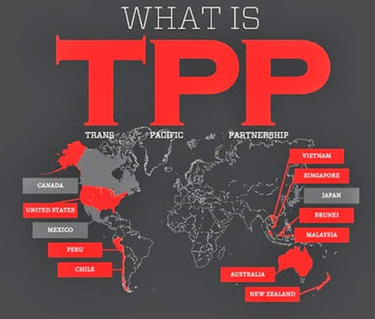 什么是“TPP”？