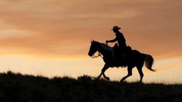 在挪威，texas不只是德克薩斯