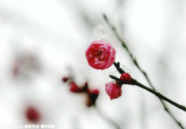 “立春”九大風(fēng)俗 雞蛋為啥能立起來？
