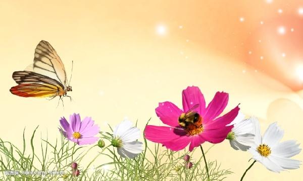 春天，一起來讀詩，雙語的！