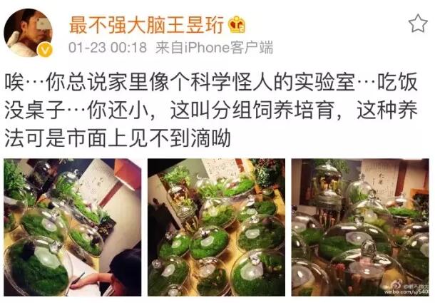 像最強(qiáng)大腦“水哥”這樣的神級(jí)人物，要用怎樣的英文詞來形容