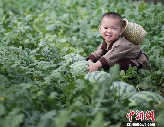 2歲萌娃吆喝自家西瓜 這個“瓜娃子”要火?。ńM圖）