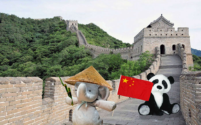 寶貝，你的小象不是丟了，而是去環(huán)游世界了（組圖）