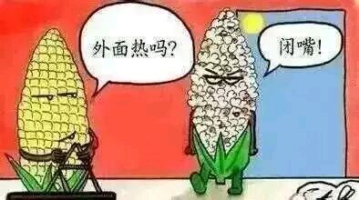 除了It's so hot，還能怎么用英語形容熱到飛起？