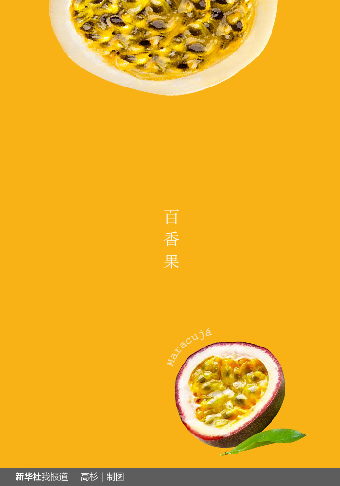 “瘋狂水果城”里約：給你點(diǎn)顏色瞧瞧！