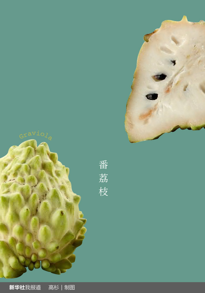 “瘋狂水果城”里約：給你點顏色瞧瞧！