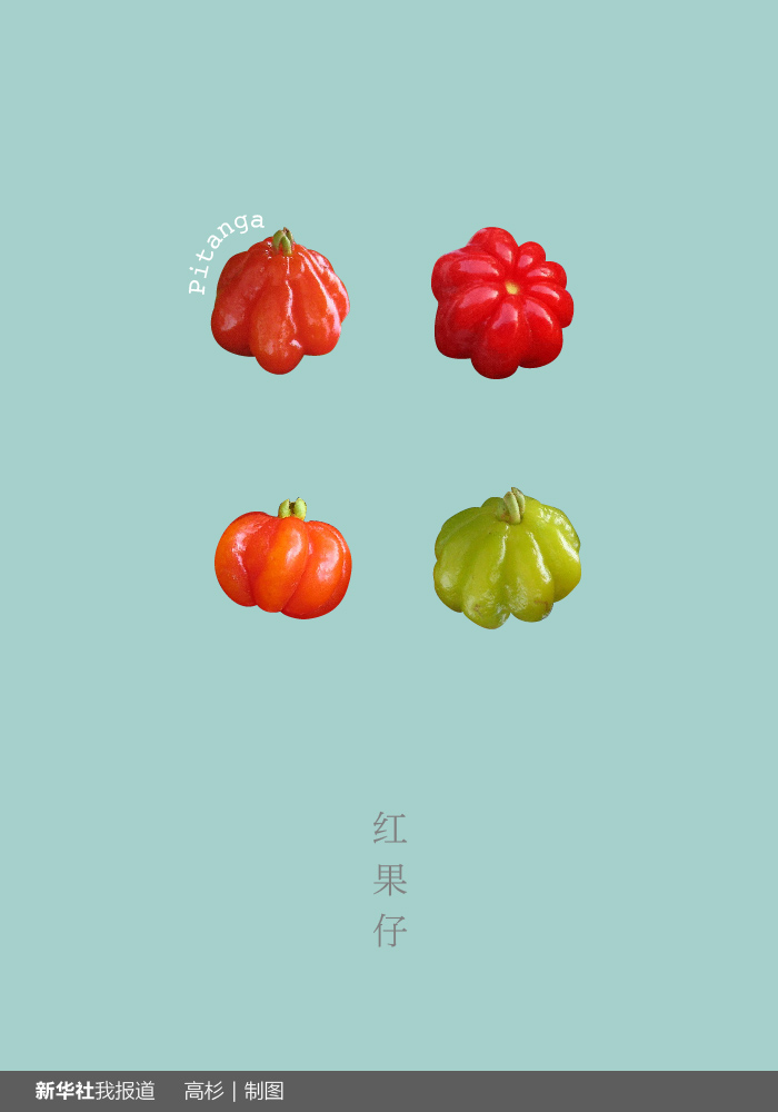 “瘋狂水果城”里約：給你點(diǎn)顏色瞧瞧！