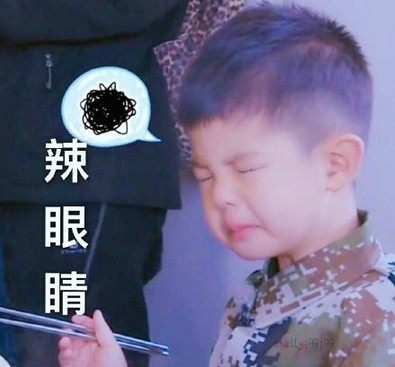 盤點(diǎn)：2016年度網(wǎng)絡(luò)熱詞你全懂嗎？（組圖）