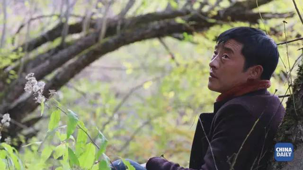 小康之路：他們?cè)?jīng)是伐木人，如今卻成了護(hù)林員和藏香廠老板丨解碼中國(guó)