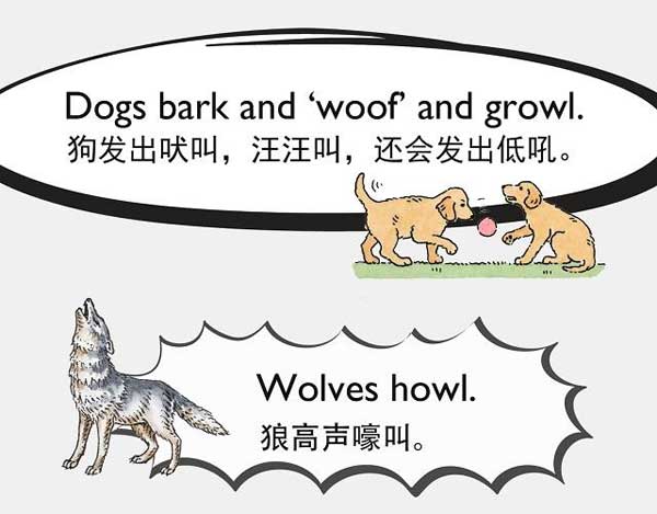 自然界中有各種聲音 如何用英語來描述動物的叫聲？