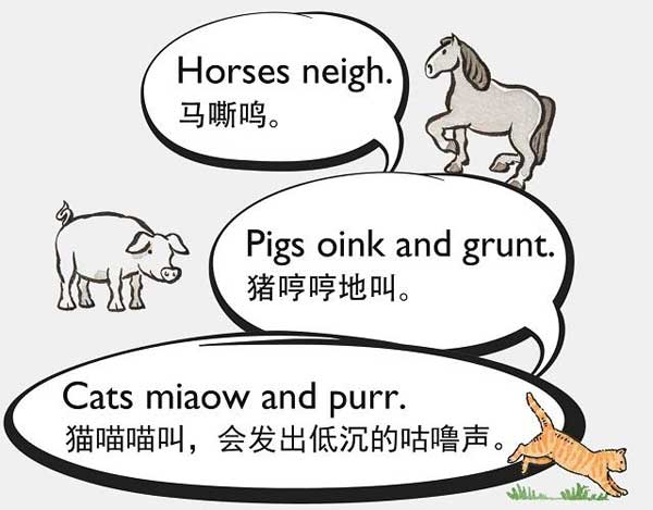 自然界中有各種聲音 如何用英語來描述動物的叫聲？