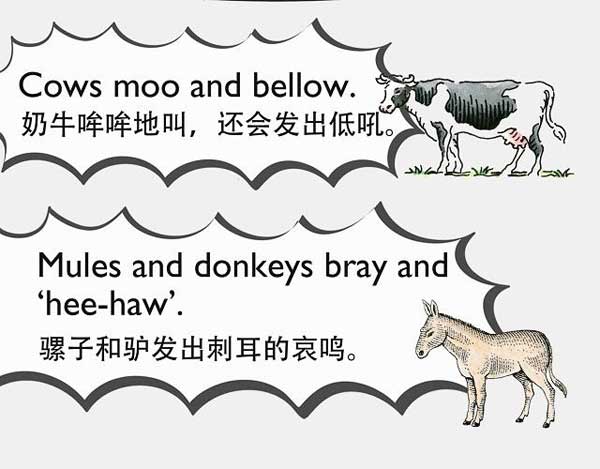 自然界中有各種聲音 如何用英語來描述動物的叫聲？