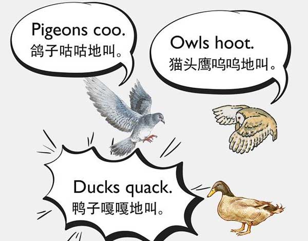 自然界中有各種聲音 如何用英語來描述動物的叫聲？