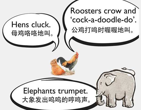自然界中有各種聲音 如何用英語來描述動物的叫聲？
