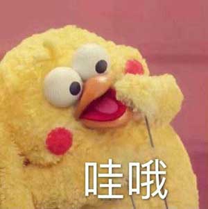 “雞年”到底怎么說？Chicken？Rooster？