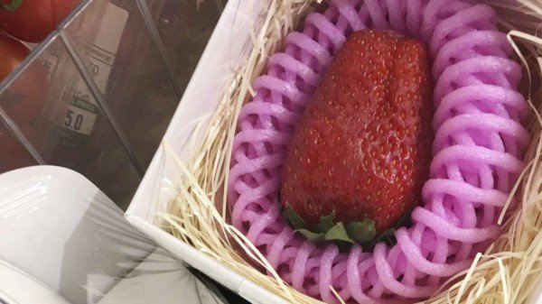 這種草莓150元一顆，一定很好吃……吧？