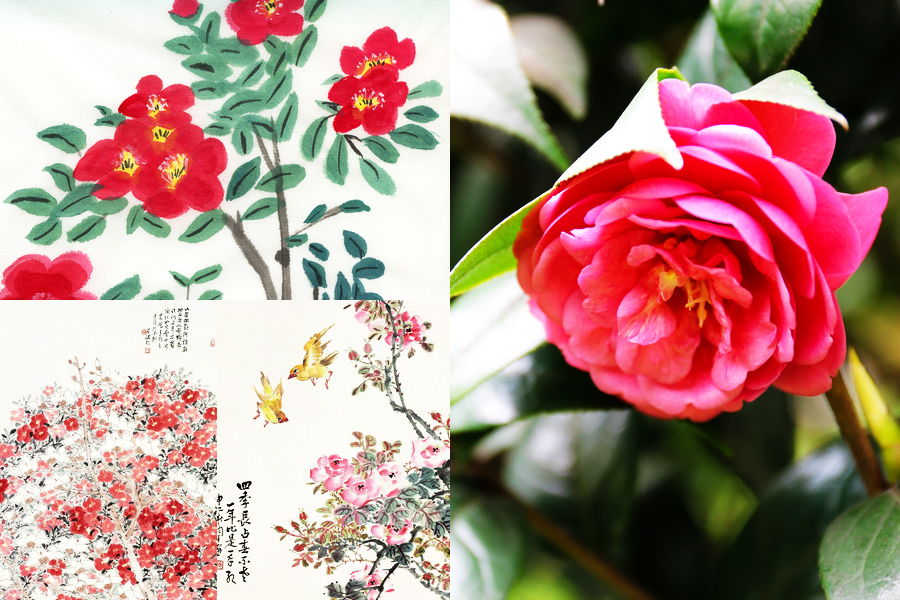 最能代表中國(guó)的10種花：你對(duì)它們了解多少（組圖）