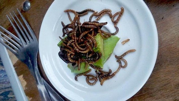受不了臭豆腐、血腸 老外卻有更奇葩的美食