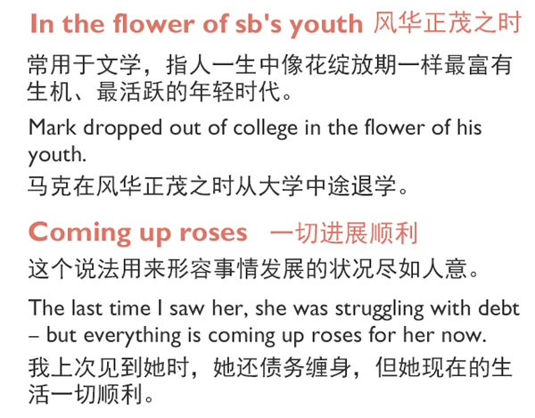 “花語”：和花有關(guān)的英語表達(dá)