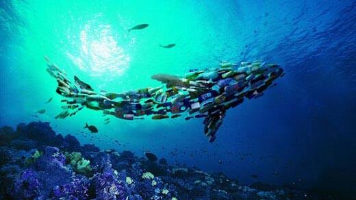觸目！浮游生物首次被拍到攝入塑料