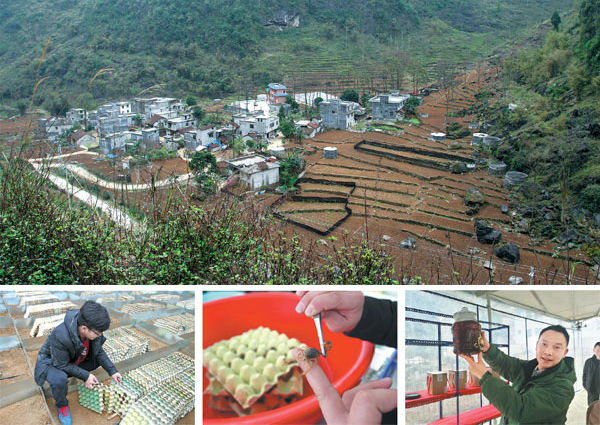 老外在中國(guó)：我的蝎子叫哈羅德