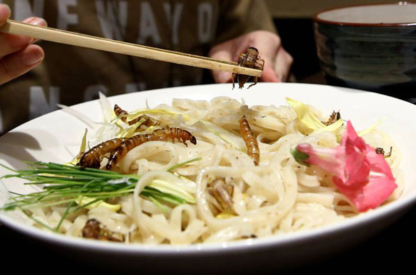 日本昆蟲拉面引食客捧場(chǎng)