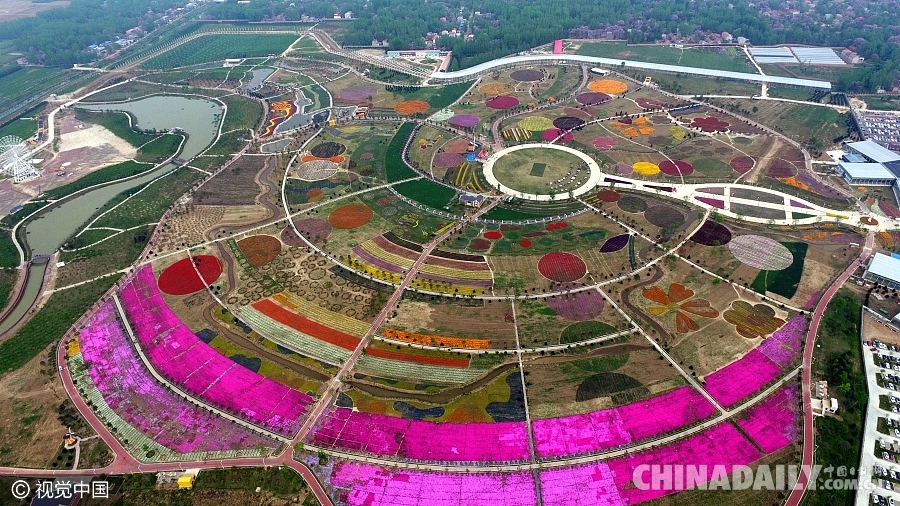 大好春光豈可負？世界各地盡享花海美景（組圖）