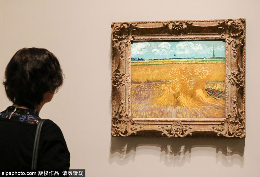 全球獨(dú)家！世界上首個(gè)梵高個(gè)人作品展在墨爾本舉辦（組圖）
