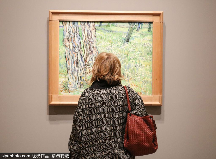 全球獨(dú)家！世界上首個(gè)梵高個(gè)人作品展在墨爾本舉辦（組圖）
