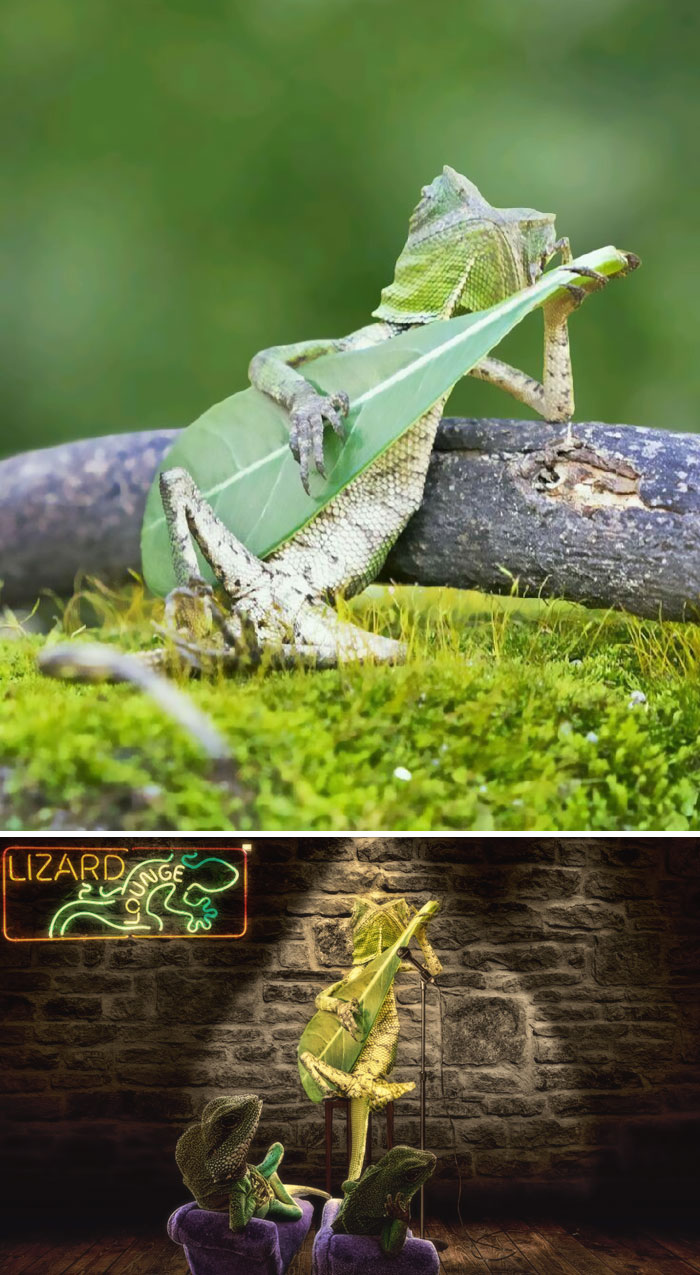 網(wǎng)絡(luò)PS大戰(zhàn)：誰是贏家？（組圖）