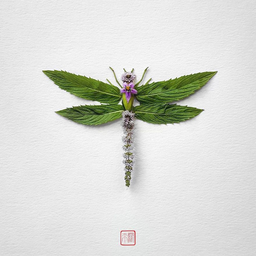你怕蟲子嗎？來看看這些用花瓣做成的蟲子（組圖）