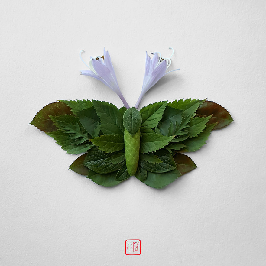 你怕蟲子嗎？來看看這些用花瓣做成的蟲子（組圖）