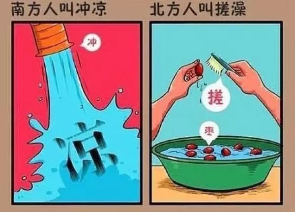 “南北差異”大討論：南方買菜買一頓，北方買菜買一噸？