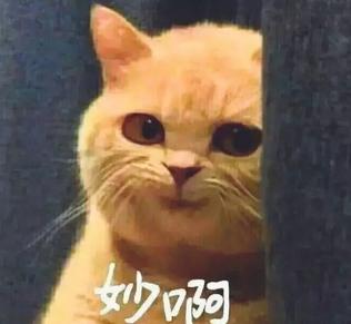 揭秘各國兵哥哥的野戰(zhàn)口糧！看到韓國的，忍不住笑出了聲…