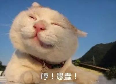 萬萬沒想到！七個讓你驚呼“厲害了”的冷知識
