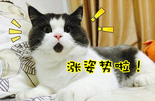 萬萬沒想到！七個讓你驚呼“厲害了”的冷知識