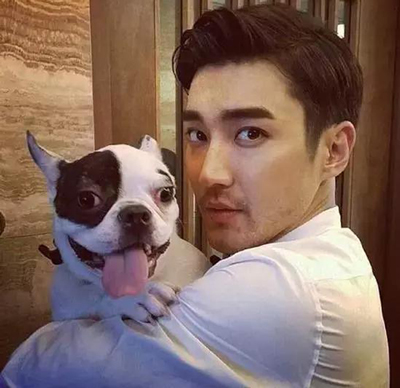 明星愛犬咬傷鄰居間接致其死亡，寵物不拴繩害人也害狗