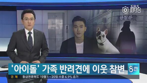 明星愛犬咬傷鄰居間接致其死亡，寵物不拴繩害人也害狗