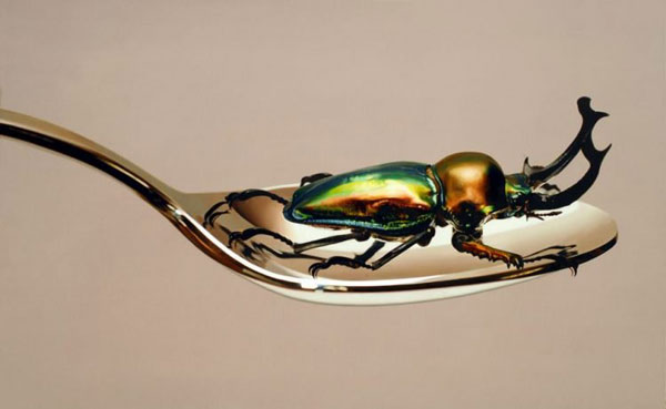 比照片更逼真的畫作，攝影師：你們畫畫的干嘛搶我飯碗