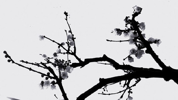翻譯輕重“神”在先，古典翻譯為今人