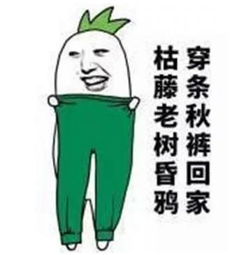秋冬御寒指南：秋褲穿不穿，這是個問題